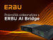 Pokročilá videonalýza v kostce aneb ERBU AI Bridge (AIB)
